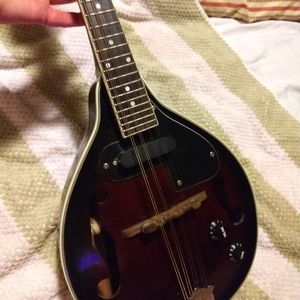 Rogue A-model Mandolin,, preowned